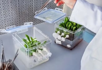 Montaje de biorreactor Plantform para cultivo de tejidos vegetales