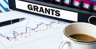 Grant Writer Coordinator Volunteer. 365 We Thrive.