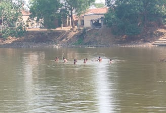 Pond