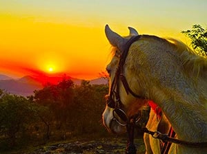 Passeio a Cavalo Pousada VilaDangeloCachoeira Munhoz MG Brazil