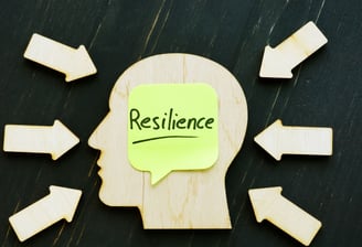 Building Resilience: Managing Stress in Professional Environments