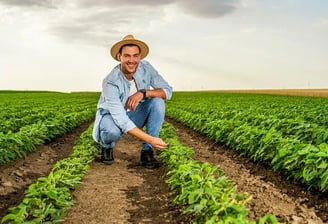 filtrox bueiros, filtros para bueiros, boca de lobo, bueiro ecologico, bueiro inteligente