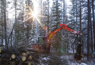Mechanical harvesting of trees for firesmart treatment. banff national park
