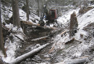 Spider hoe installing woody debris in a creek following a wildfire. West kelowna