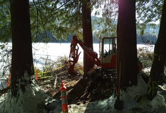 Historic hazardous waste clean-up amongst old growth, vancouver