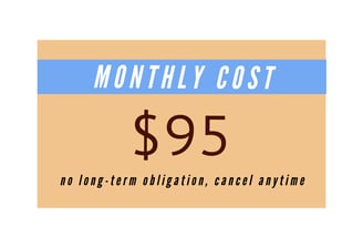 Business growth website design and hosting package for $95 per month
