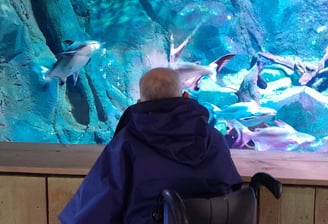 sortie à l'aquarium en fauteuil roulant