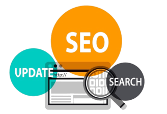 SEO Services Company in Bangalore