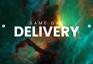 one day delivery