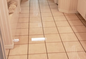 Flooded home or business