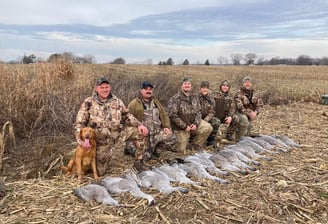 sandhill crane hunting guide