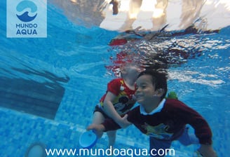 a boy swimming in a pool with a dolphin