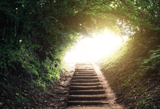 Camino ascendente con escalones. Todo está rodeado de vegetación, pero al fondo se ve una luz
