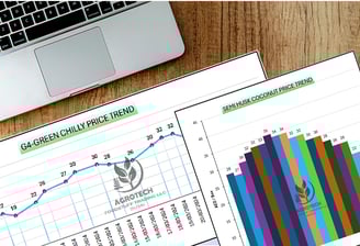 Market Analysis and Research