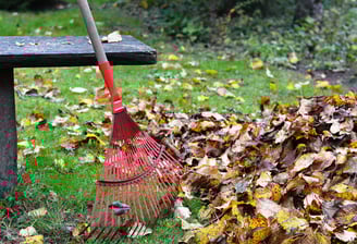 Nettoyage d'Automne