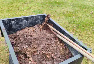 spring yard cleanup