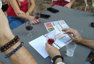 groupe de personnes sur une table devinant les vins de la région d'Aix