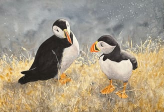 Akvareller till salu som original och prints