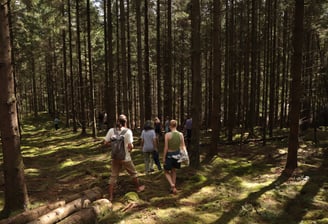 a group of people walking through a forest