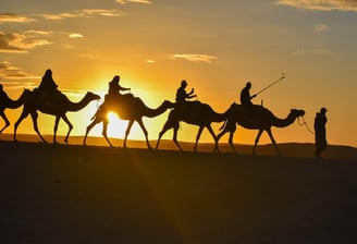 a group of people riding camels in the desert