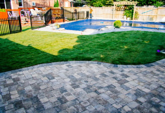 a backyard pool with a pool and a dog