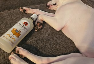 Ruff Day