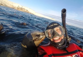 snorkeling con lobos marinos