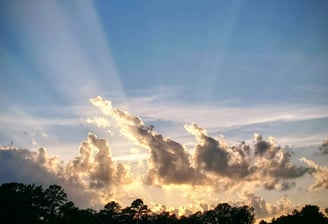 Photo of a sunset, with sunlight radiating upward, backlighting clouds, the tree line is visible below