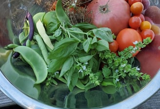 Photo of a metal bowl containing freshly picked basil, tomatoes, a few beans and snow peas, and dried dill heads