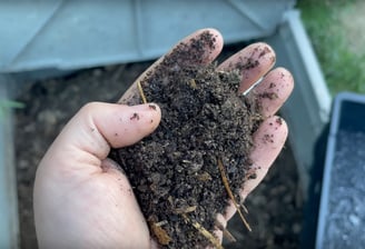 curso compost casero