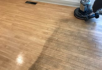 Floor Cleaning in Ormond Beach, Florida
