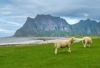 Kelionės kemperiu, Norvegija lofotenai