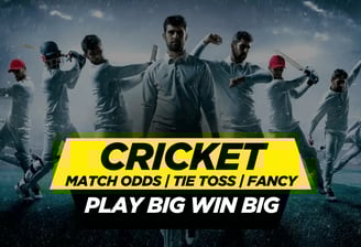 cricball99 whatsapp number