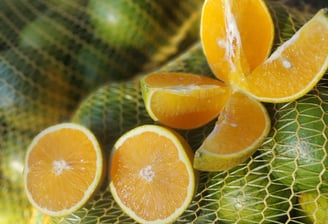 Laranjas cortadas, mostrando a suculência da fruta, amarelas e vistosas.