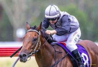 Horse racing at Nanango Racetrack