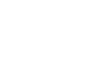 logo wordpress blanc png