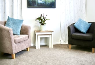 two chairs in counselling room opposite each other with table between with green plant on top