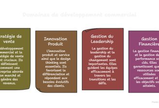 Domaines de développement commercial