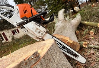 a chainsawer is cutting down a tree stump