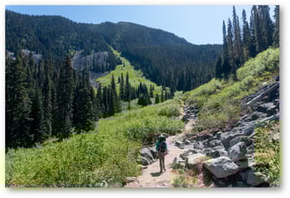 Joffre lake trail