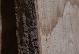 Planche en bois massif avec une texture naturelle et des veines apparentes, illustrant la robustesse et l'élégance du matéria