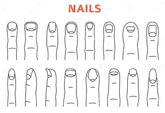 Nail Body Shapes