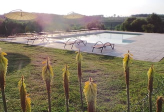45 / 5 000 une piscine avec chaises et parasols gite de groupe