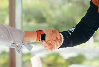 Professionnel nettoyage gouttière