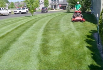A modern landscape design featuring tiered grass with crisp edges