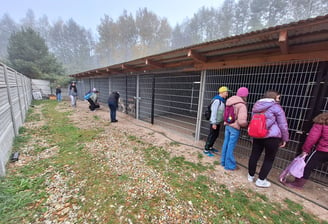 Nasze schronisko odwiedzili uczniowie