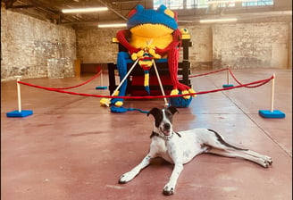 Henry with FROG knitting a future iteration of himself by Dundee & Lee's Emilie Odeile & Ken Chapin.