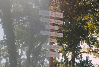 Une image étalonnée d'un mariage en Provence