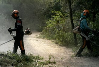 Débroussaillage sur les bords d'un chemin au milieu de la forêt.