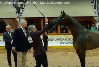Brasilian National AHS 2022 - Mares Championship - Brazil